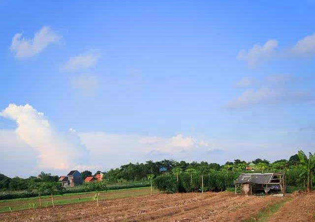 永久基本农田上百平米蔬菜大棚被镇里拆了？哪儿来的权力！